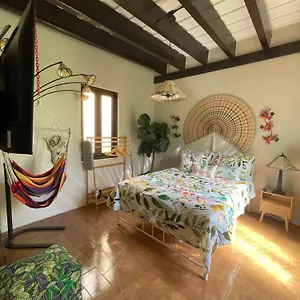 The Garden Apartment, The Willow Apartment, & The Tropical At Casa Of Essence In Old Apartamento